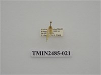 藏品(半明苔蛾)的圖片